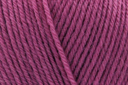 Orchard DK