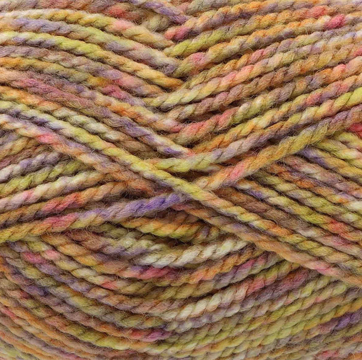 Dalesway Moors Chunky