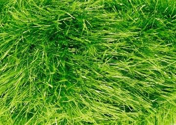 King Cole Tinsel Chunky